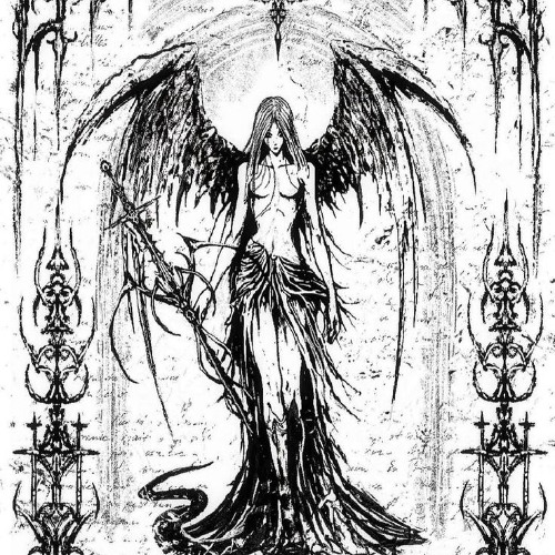 ##vitrification - clips of the new year