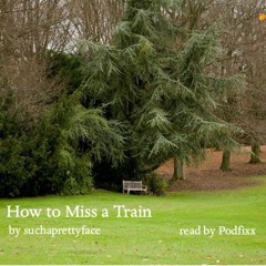 How to Miss a Train *Explicit*