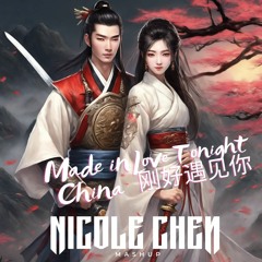 Nicole Chen - Made In China Tonight 刚好遇见你 Winner MASHUP