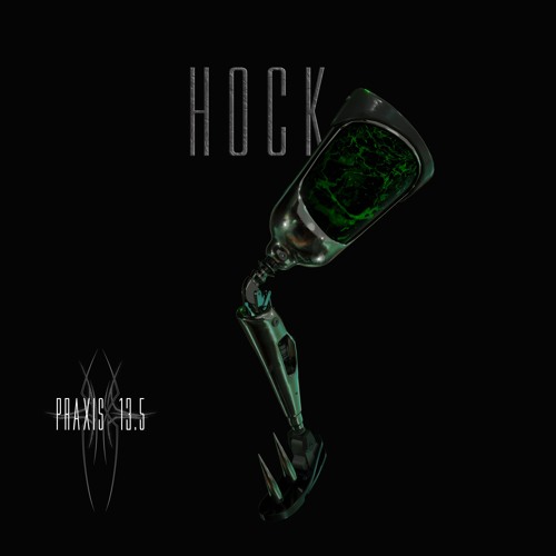 HOCK Praxis 13.5 #39