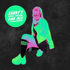 SHRKY's Phibes Opening DNB MIx