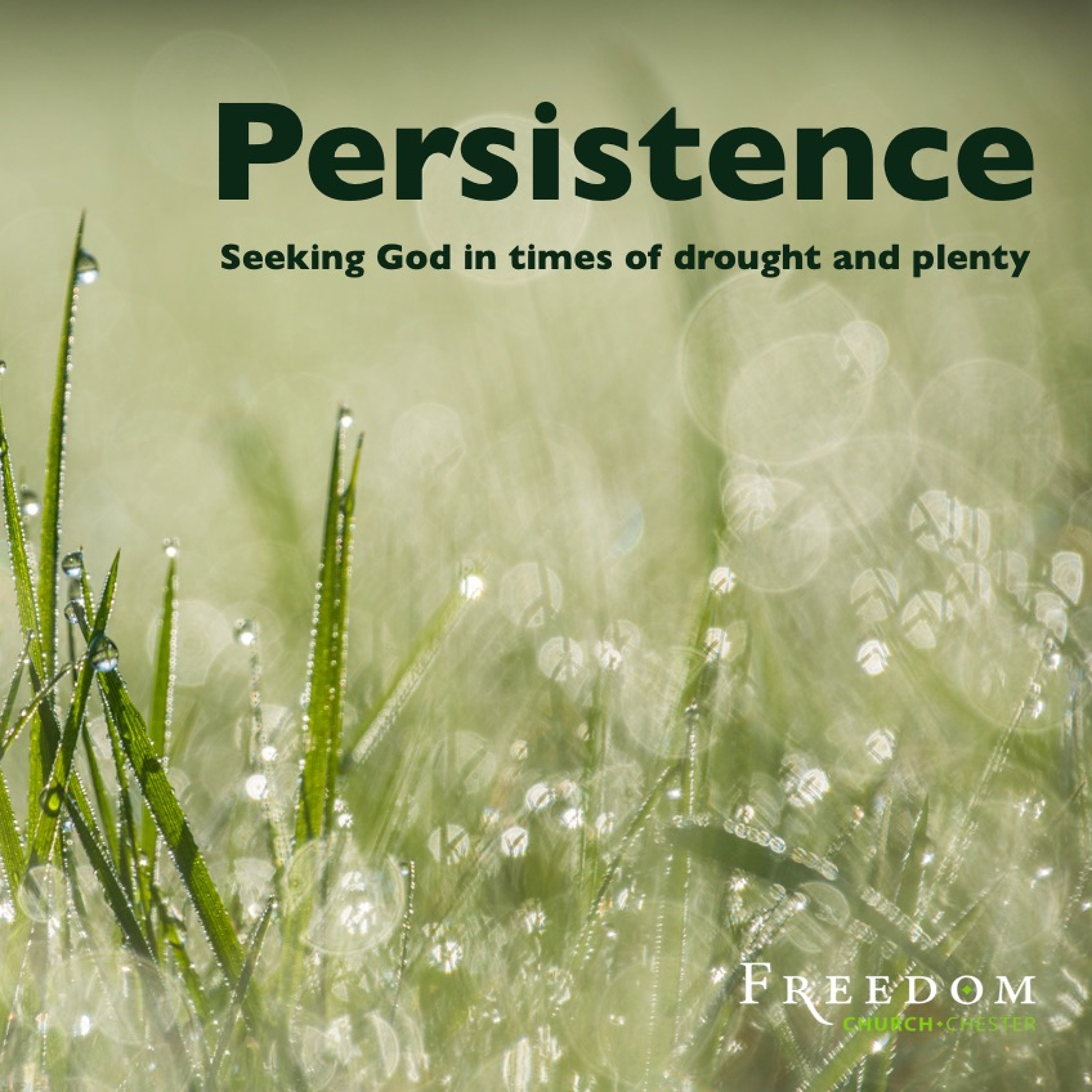 Persistence  - Seeking God in Times of Drought and Plenty (preacher Keith Cooper) episode artwork