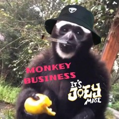 It's Joey Mate - Monkey Business