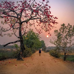 قران المغرب 3 رمضان 2025 الشيخ عبد الباسط عبد الصمد