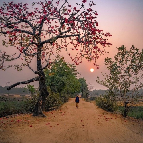 قران المغرب 3 رمضان 2025 الشيخ عبد الباسط عبد الصمد