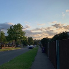 the sunset.