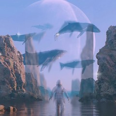 SORA ERE_Live Series  ' On the voyage '
