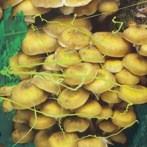 สวรรค์ and Earth