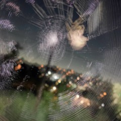 car freeeestyle - demo