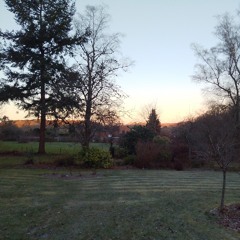 Shadows On The Path..mp3