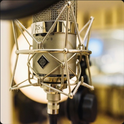 Rikko (Version 2025)