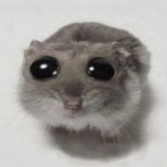 Morire de vuelta - Cenffe