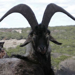 real eyes (ft. zamir) super duper rough cut