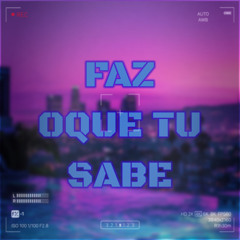 FAZ OQUE TU SABE ( DJ RD DO MT )