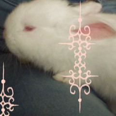 loop for a busy mind