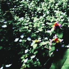 @jequya @tgwog  slowed mix to feel to    (sleep-flipZzz)