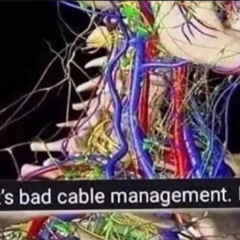 dont get bit 6/16 (lost)