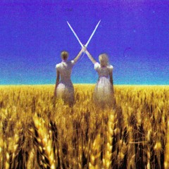 Волошки (за уч. Йоалла)