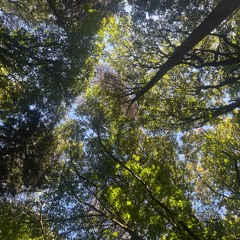 Jungley Breaks (ft every single jungle VOX fx u know) (FREEE DL)