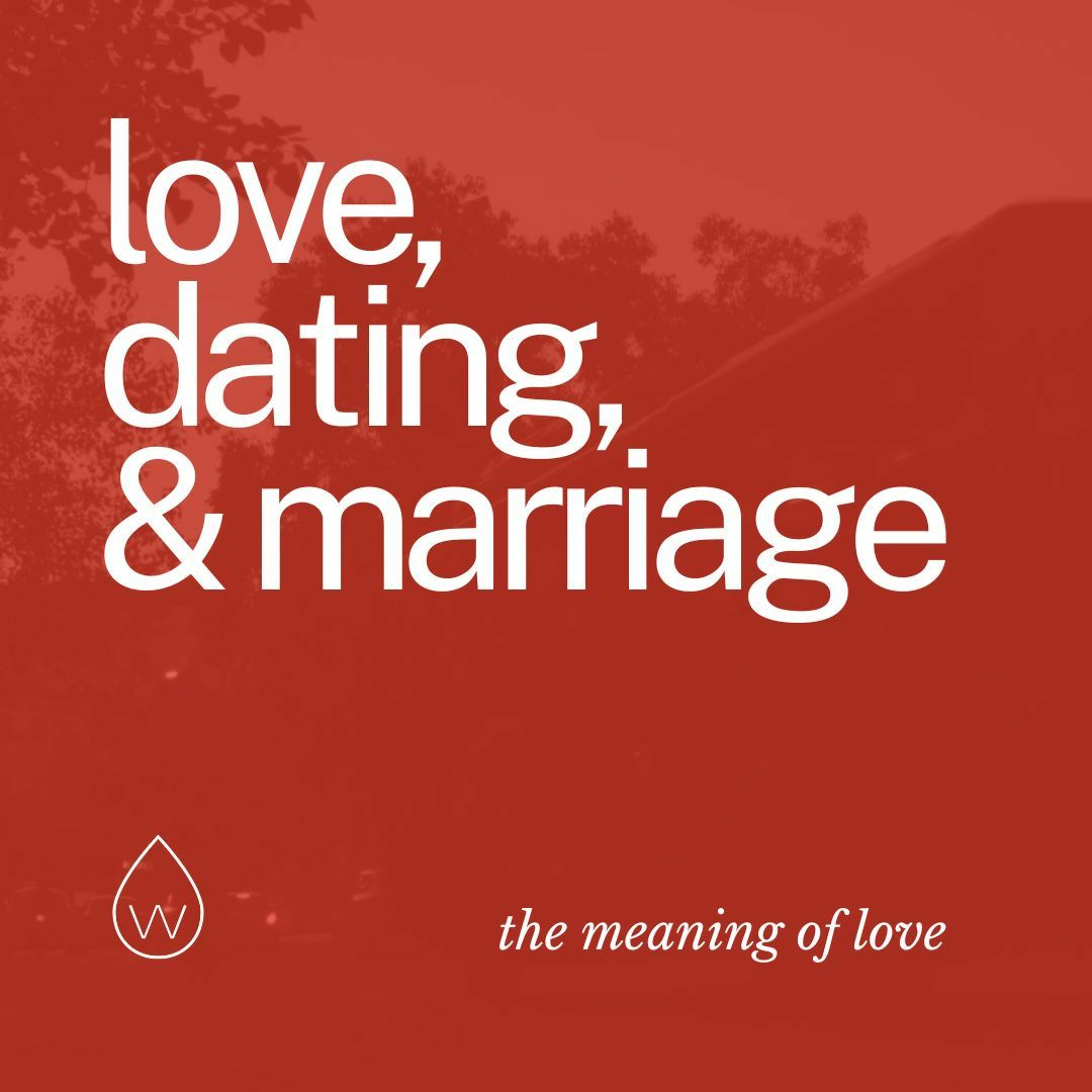 Love, Dating & Marriage | The Meaning of Love episode artwork