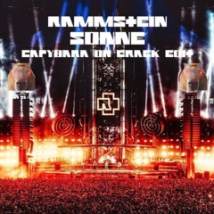 Rammstein - Sonne (CAPYBARA ON CRACK EDIT)