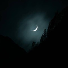 Kal chohdvi ki raat thee.mp3