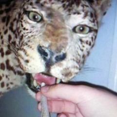 moncler x gloosito nololzone rmx