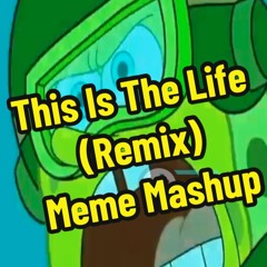 This Is The Life (Remix) Meme Mashup