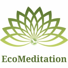 Eco-Meditation