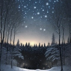 Winter's Night (Vinternatt)