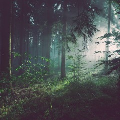 DLP # 17 - Hypnotic Forest Techno Mix