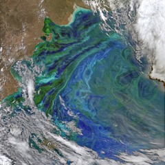 Plankton Swirls