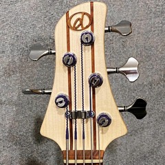 Dragonfly Bass wtih original two humbacking PUs with KenSmithStrings