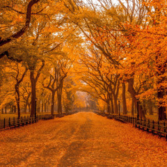 (SOUL SPIN) wifiskeleton - i must be retarded