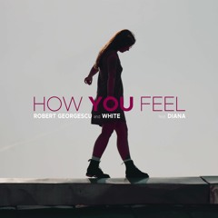 Robert Georgescu, White feat. Diana – How You Feel