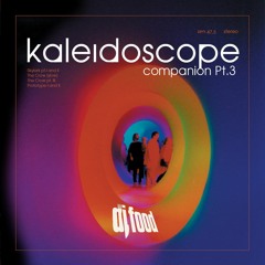 Kaleidoscopic Companion Pt.3