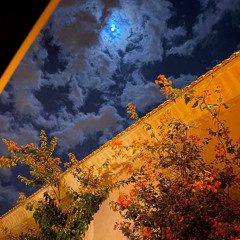 ﴿سَيَجعَلُ اللَّهُ بَعدَ عُسرٍ يُسرًا﴾