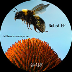 PREMIERE: lefthandsoundsystem - Sukot [PLRM040]
