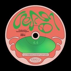 #4.4 - Renzo