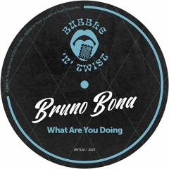 BRUNO BONA - What Are You Doing [BNT120] Bubble N Twist Rec / 3rd February 2023