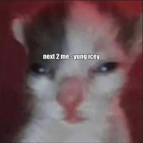 next 2 Me - yung Icey