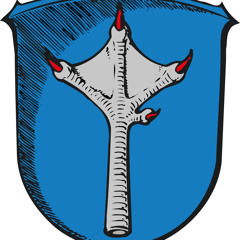 Die Borschde roase dorsch die Gass