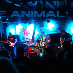 WIRE ANIMAL - Ryan’s Kilkenny September 2013. The first gig.