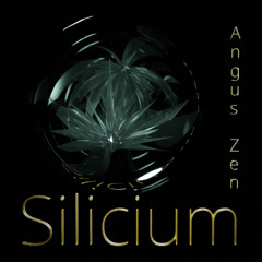 Silicium - Silent Spheres