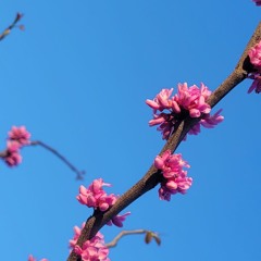 2 HOUR  WITH RELAX LOFI PLAYLIST⭐️