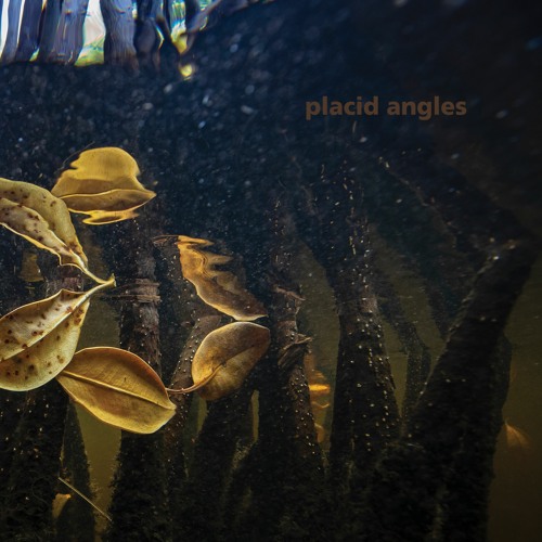 Premiere: Placid Angles - Beauty Begins With Us (Feat Malibu And Baby Blue)