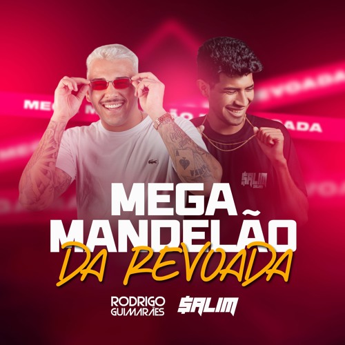 MEGA MANDELAO DA REVOADA ( ( DJ SALIM E DJ RODRIGO GUIMARAES ) )