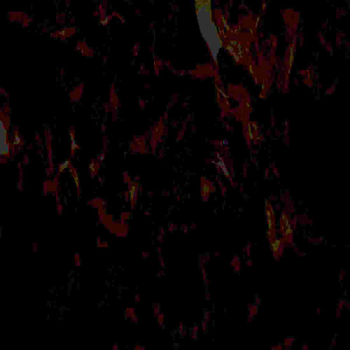 My contribution  to the memes