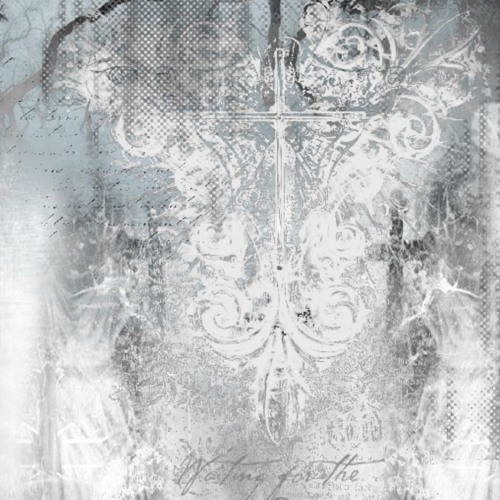 Big Amounts (prod lilbiscuit)