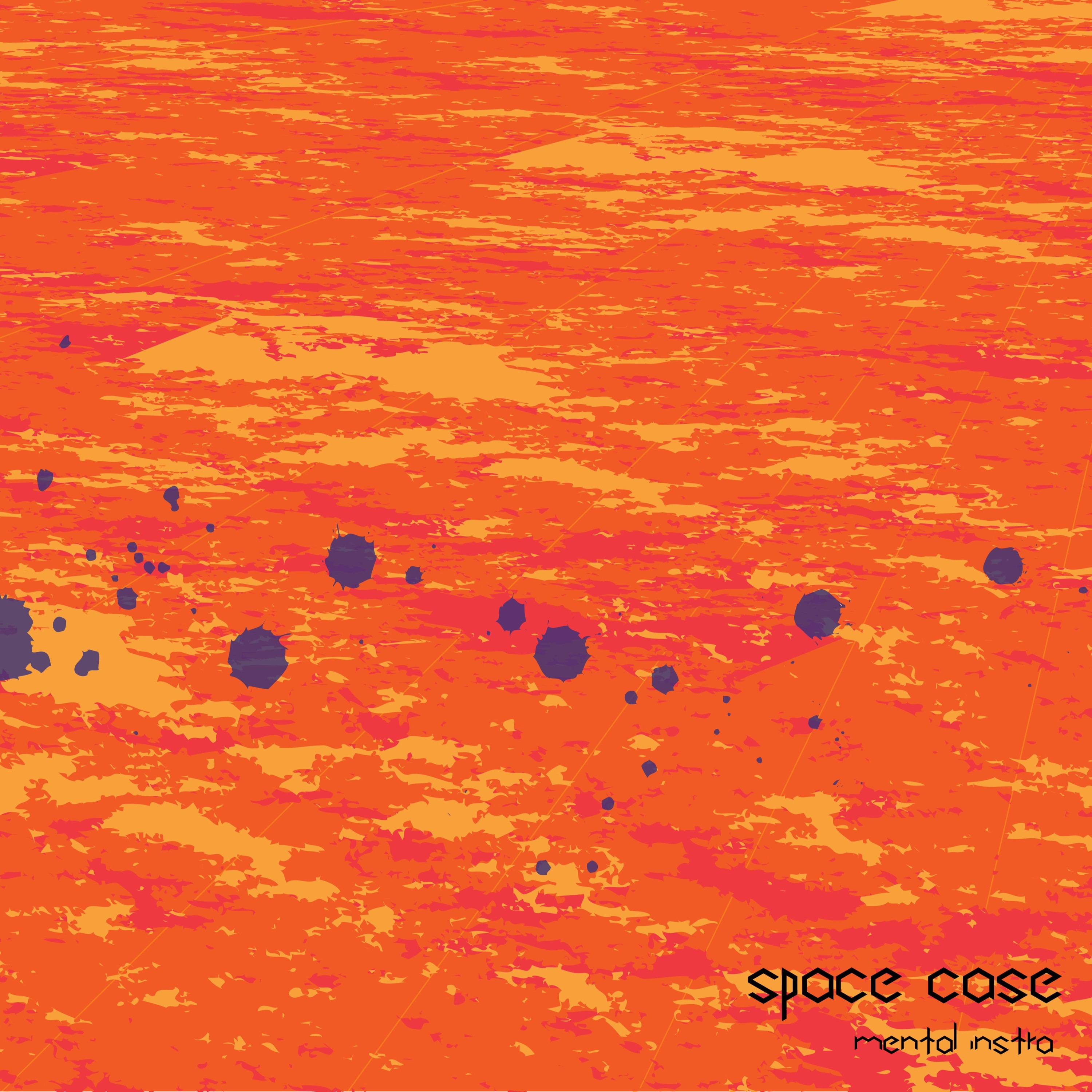 The Space Case